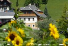 © Schuler Weissensee