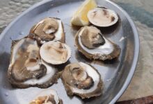 ©Andreas Zöpfl | luftlandwasser.com