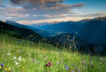 Mussen Panorama © Ferdinand Neumüller