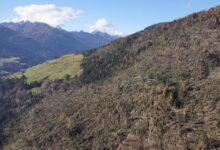 © Gerhard Hohenwarter