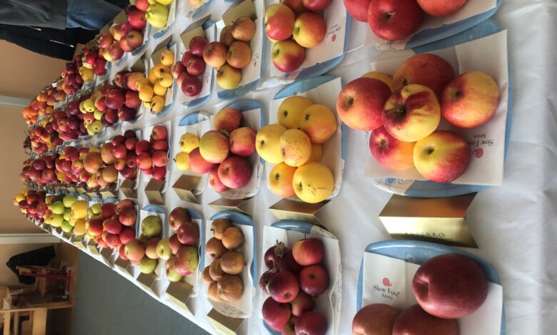 © ApfelsortenausstellungVSKirchbach2