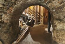 © Daniel Braunmüller