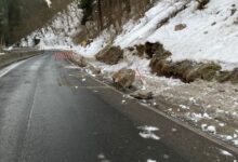 © KAPELLARI Kristina (LPD_K-L1);