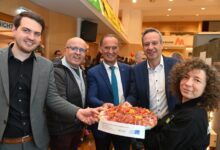 © creativomedia GmbH