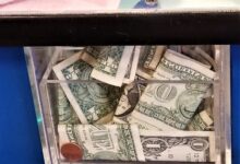 Box mit Geldscheinen