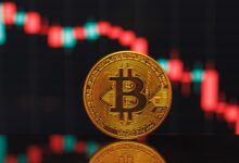 Betrug mit Kryptowährung © Envato Elements