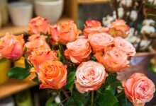 ©creativomedia gmbh