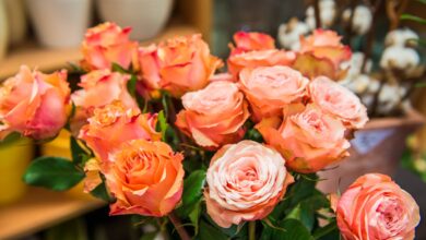 ©creativomedia gmbh