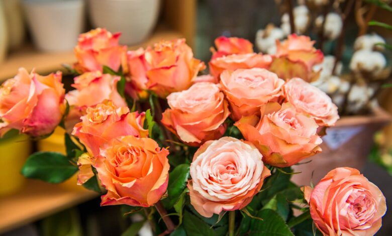 ©creativomedia gmbh