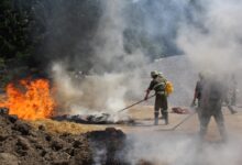 LM Mario Korenjak © BFKdo Hermagor – Bei Quellenangabe Abdruck honorarfrei.