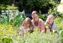 © W. Hummer Jetzt seid ihr gefragt! Schickt uns eine Beschreibung mit Fotos von euren Gärten.