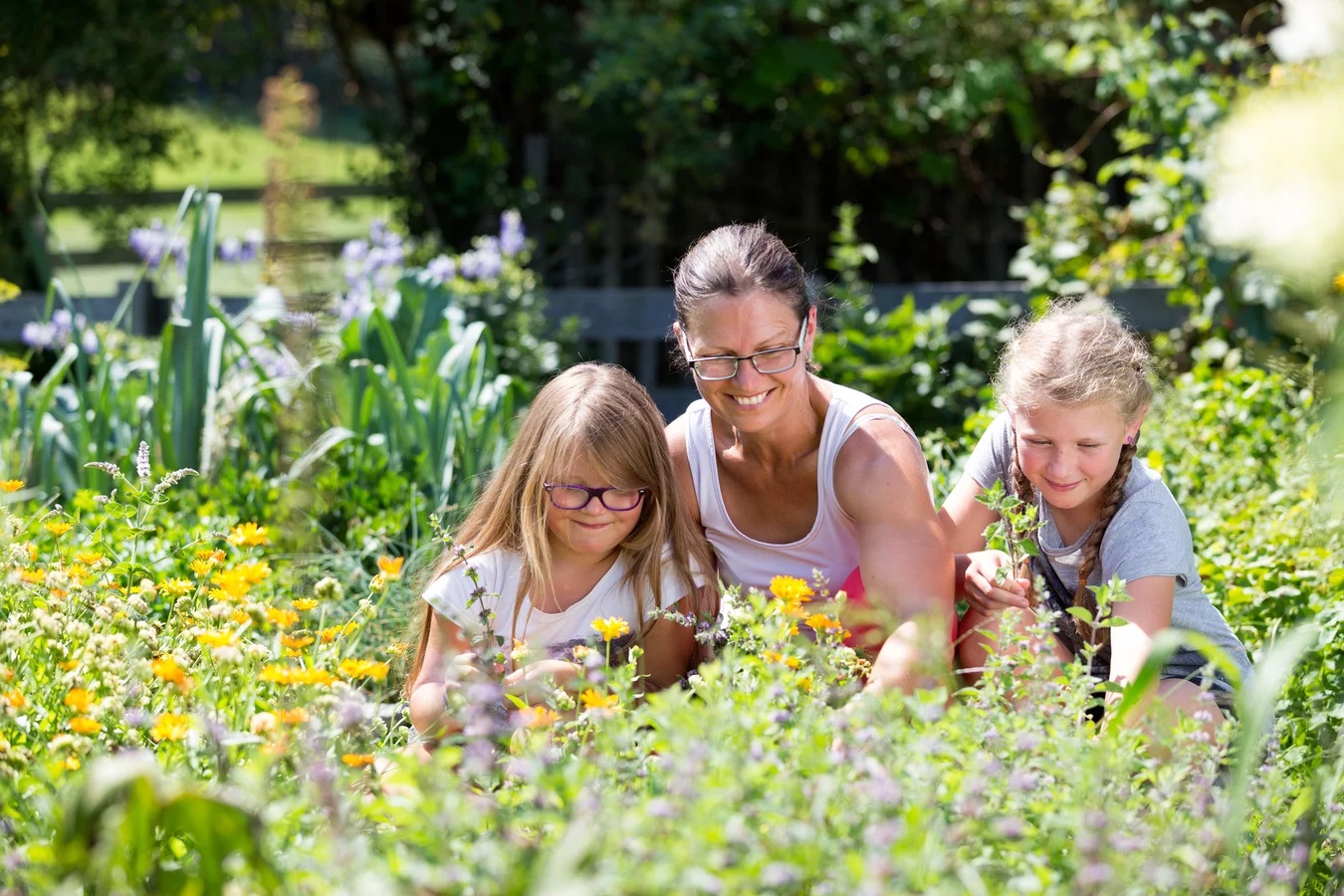 Wir suchen die vielfältigsten Obst und Gemüsegärten in der Region