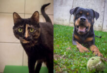 Jenna und Josef ©TiKo