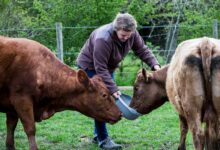 Unfall © Envato Elements