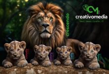 Löwen zusammen © creativomedia.gmbh