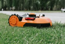 Diebstahl © Envato Elements