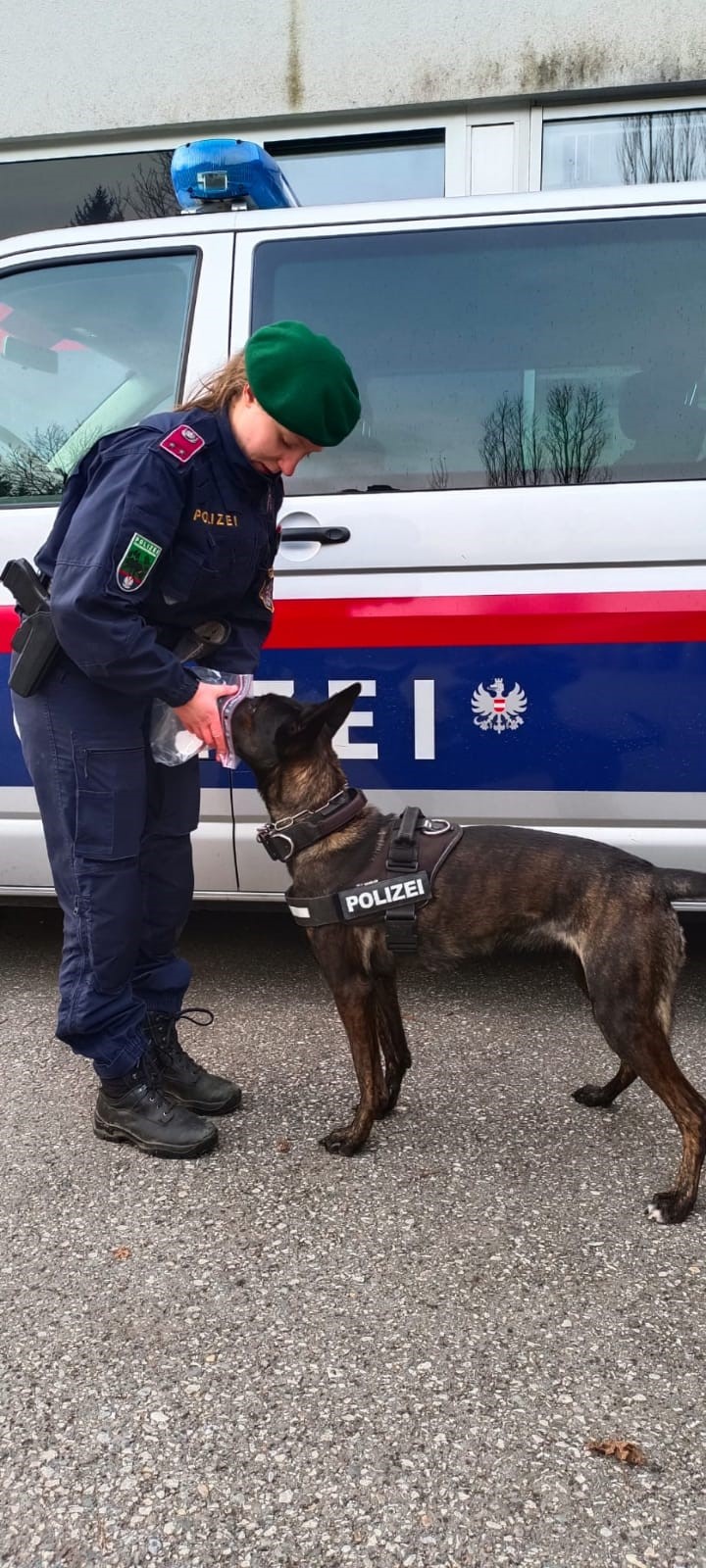 © Polizei Kärnten | Polizeidiensthund mit Hundeführerin