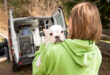 Behördliche Abnahme © TiKo, Nina Zesar, Sonja Widerstroem