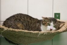 „Mucki © Miriam Black, TiKo“