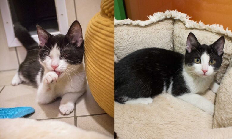 Felix und Shila © Tiko