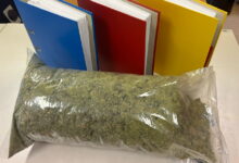 ©Polizei Salzburg/PI Hallein