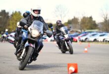 © LPD Stmk_Weitacher-Lamb