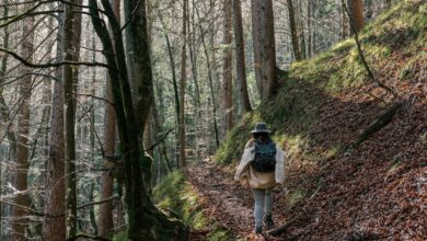 Bergung aus alpiner Notlage © Envato Elements