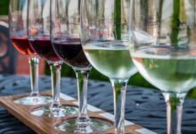 Weinverkostung am Weissensee © Envato Elements