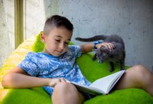 Lautes Vorlesen entspannt die TiKo Katzen © TiKo_Nina Zesar