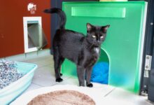 © TiKo_Olip_Melanie_© TiKo_K28439_Hera-2