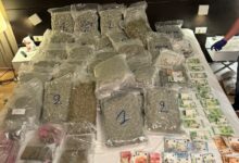 Suchtgiftsicherstellung mit Bargeld © LPD Stmk