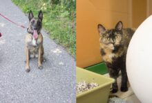 Nanu und Gaby © TiKo