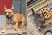 Gina und Pauli © TiKo