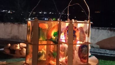 Foto Günther Gasper/Gurnitz-Archiv