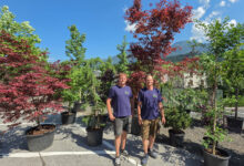 my Garden, Pflanzen, Baumschule Hermagor, mit Gartenshop und persönlicher Beratung, Foto (c) creativomedia GmbH