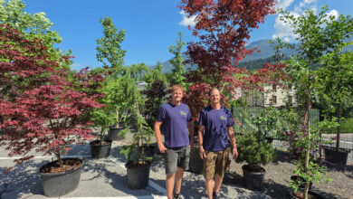 my Garden, Pflanzen, Baumschule Hermagor, mit Gartenshop und persönlicher Beratung, Foto (c) creativomedia GmbH