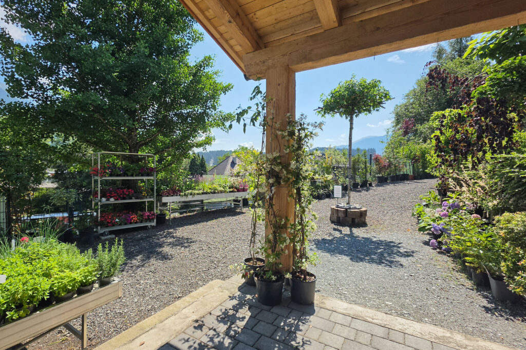 my Garden, Pflanzen, Baumschule Hermagor, mit Gartenshop und persönlicher Beratung, Foto (c) creativomedia GmbH