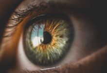 melanie_santner_sehen-ohne-augen_(c)pixabay.com