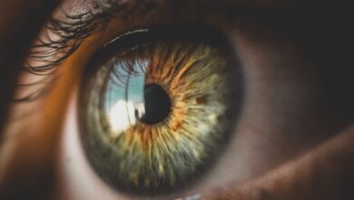 melanie_santner_sehen-ohne-augen_(c)pixabay.com