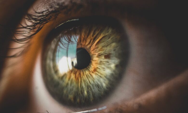 melanie_santner_sehen-ohne-augen_(c)pixabay.com