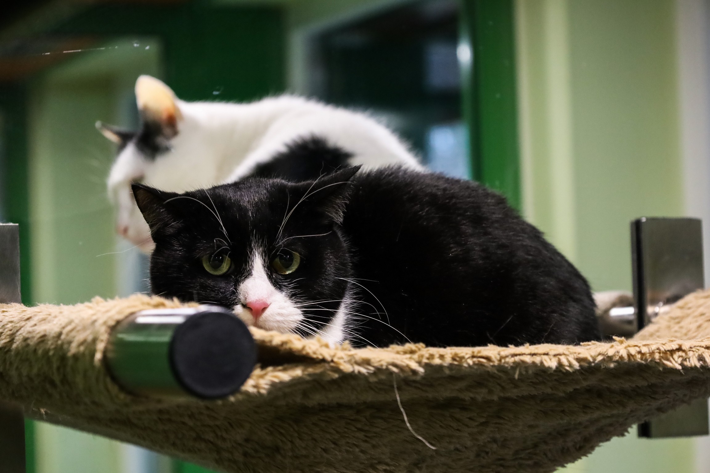 © TiKo_Olip_Melanie_K28036_DieMaxi-2