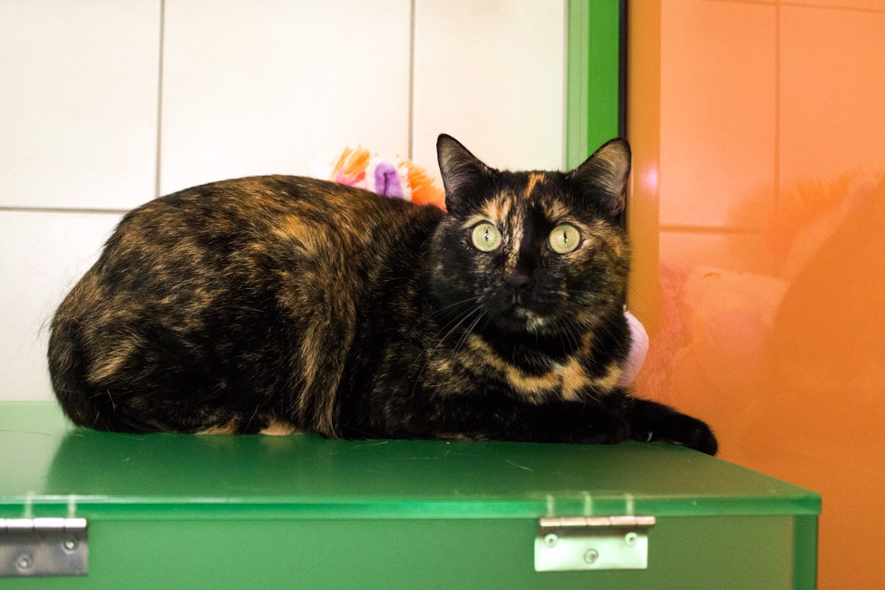 © TiKo_Olip_Melanie_© TiKo_Olip_Melanie_K28037_Mausi