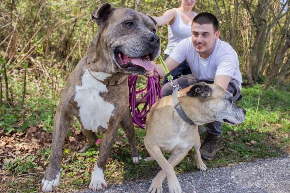Buddy und Freya © TiKo, Nina Zesar