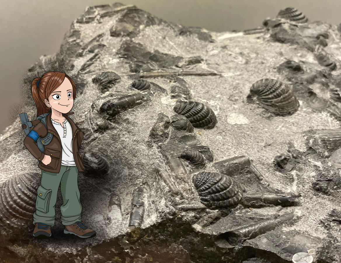 ©Geopark Karnische Alpen