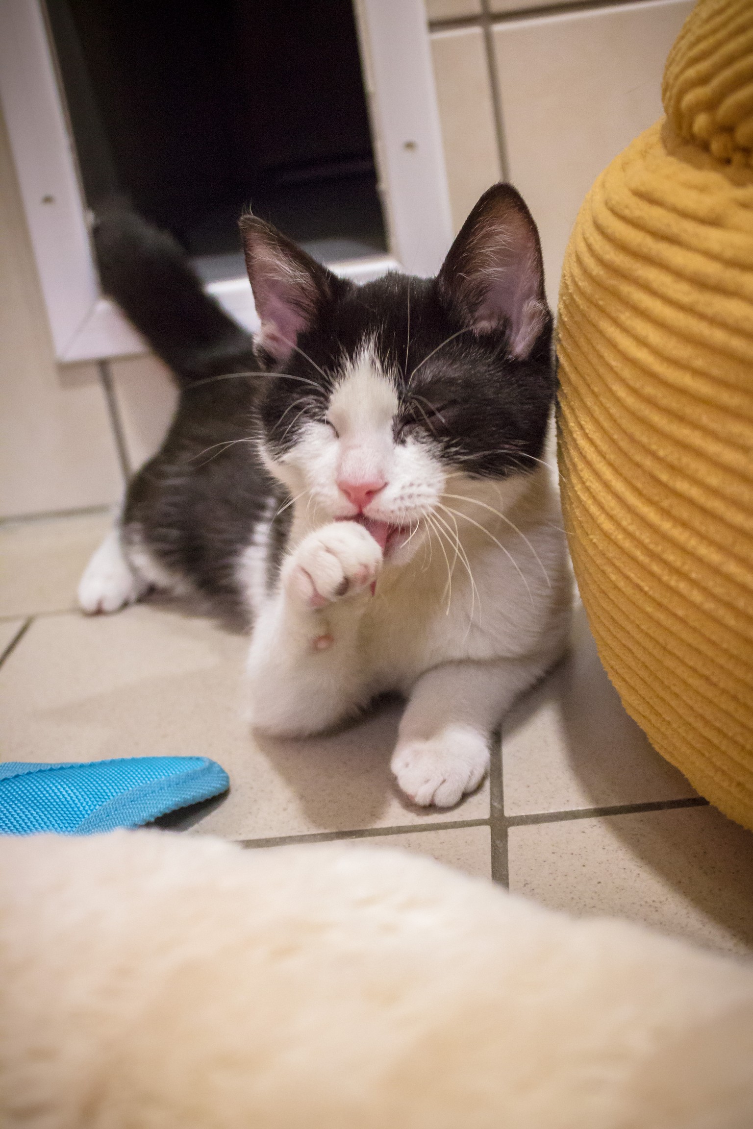 Felix und Shila© TiKo Nina Zesar