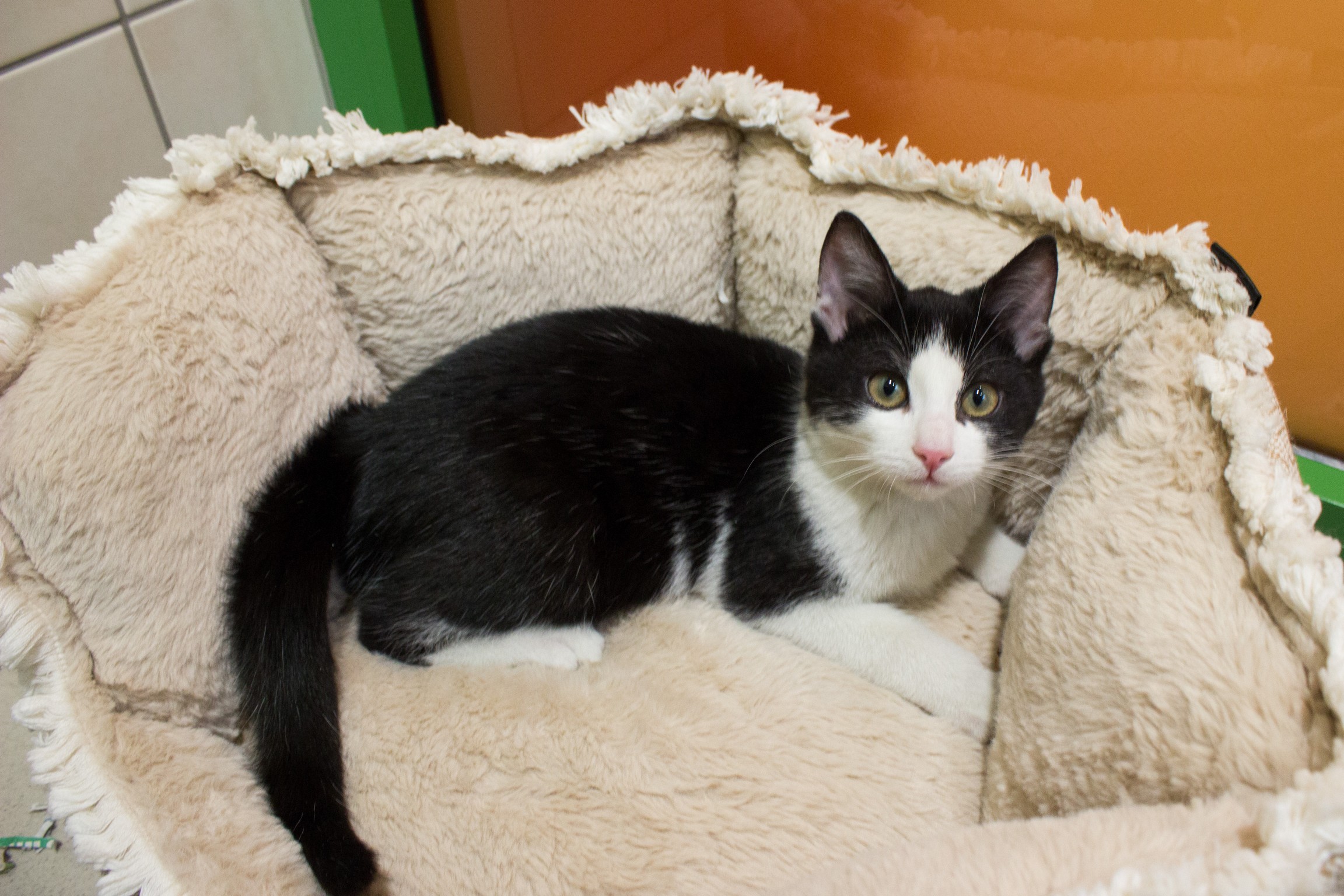 Felix und Shila© TiKo Miriam Black