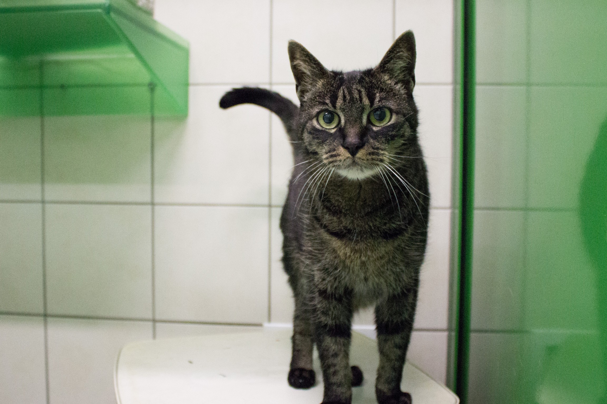 ©TiKo_MiriamBlack_K28003_Peterle (1 von 1)