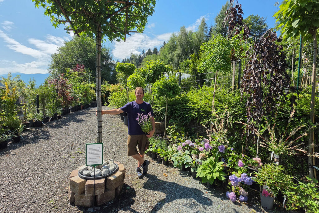 my Garden, Pflanzen, Baumschule Hermagor, mit Gartenshop und persönlicher Beratung, Foto (c) creativomedia GmbH