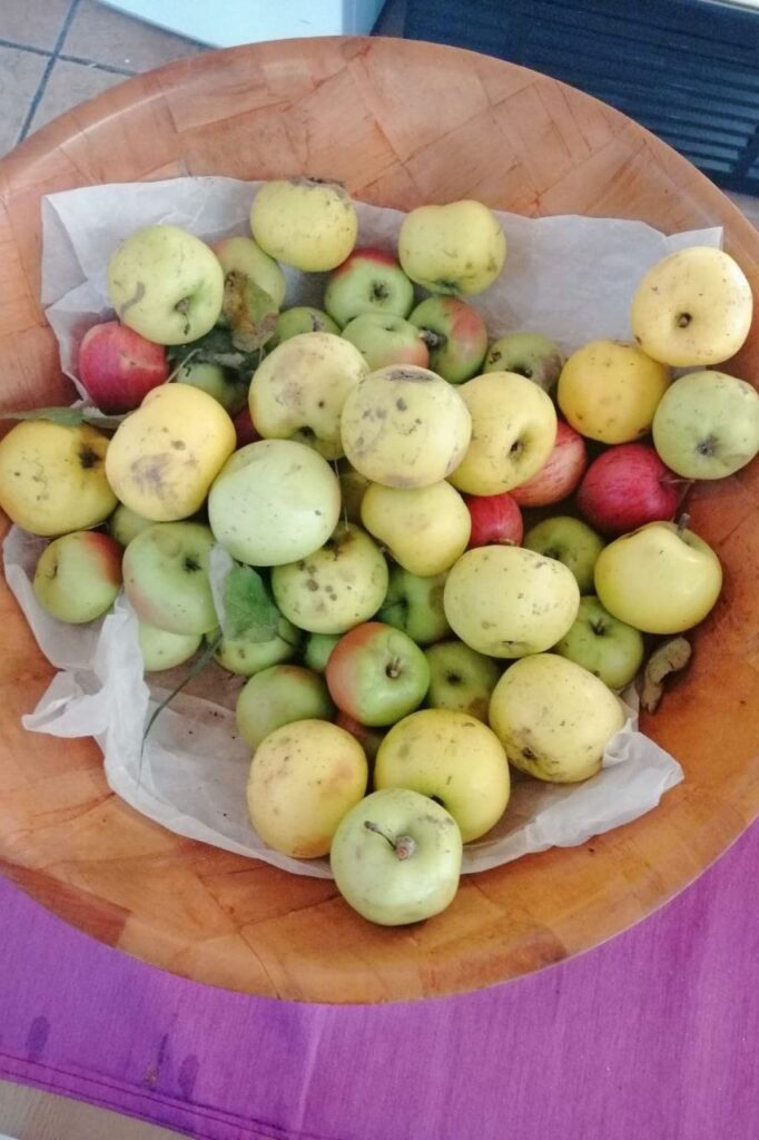 © Togheter Point Graz