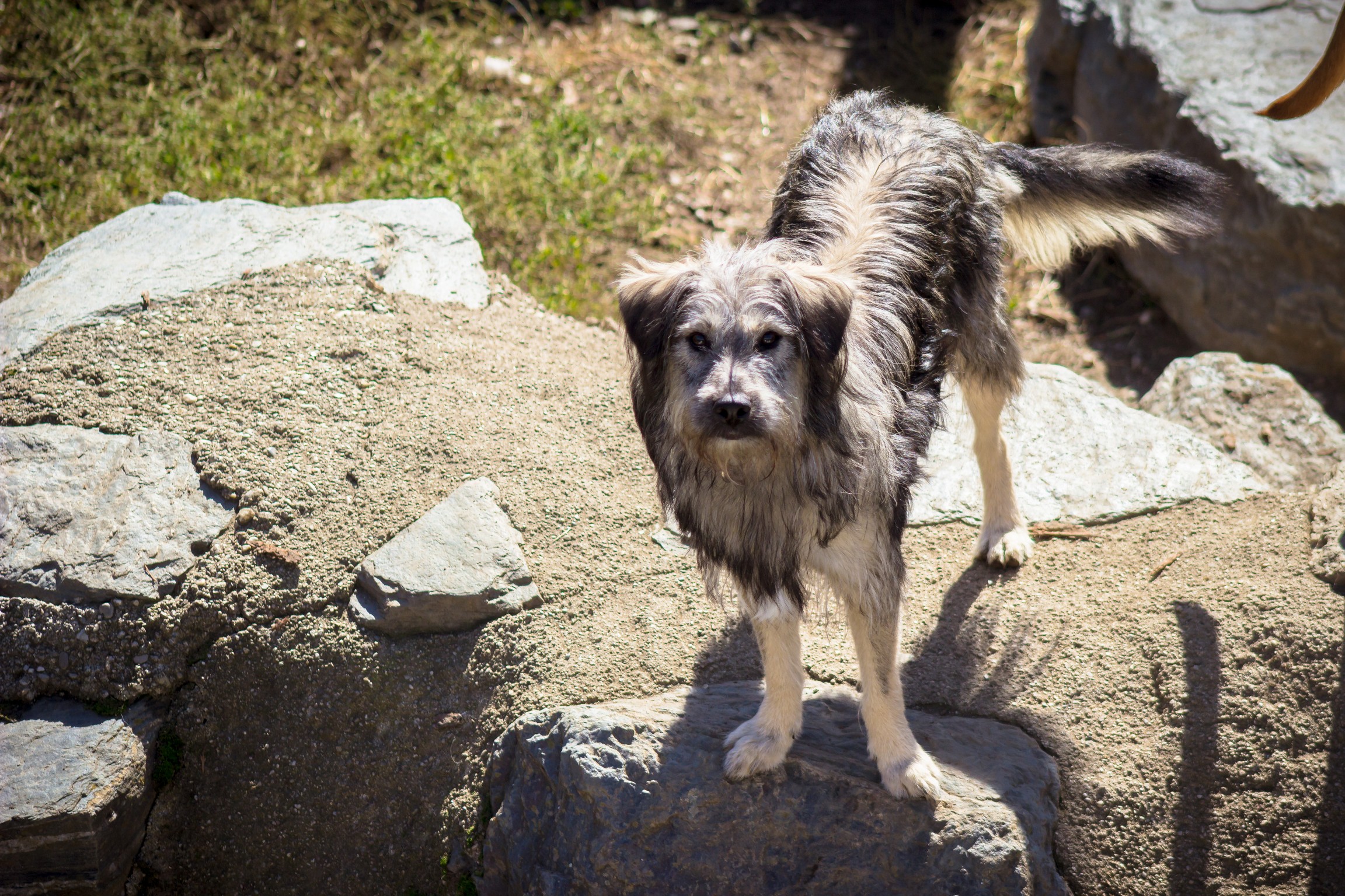 © TiKo_Nina Zesar_H26040_Pauli-7